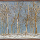 Winter Woods