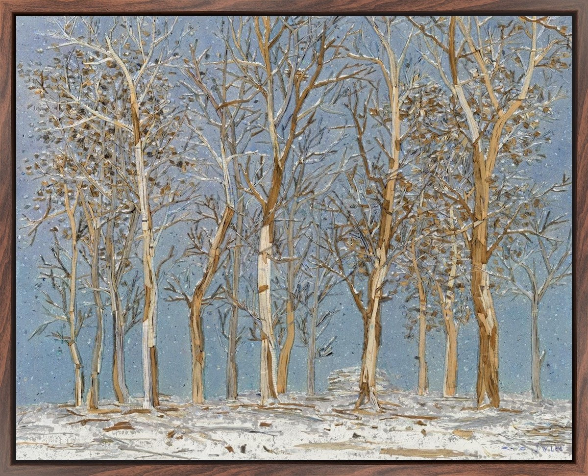 Winter Woods