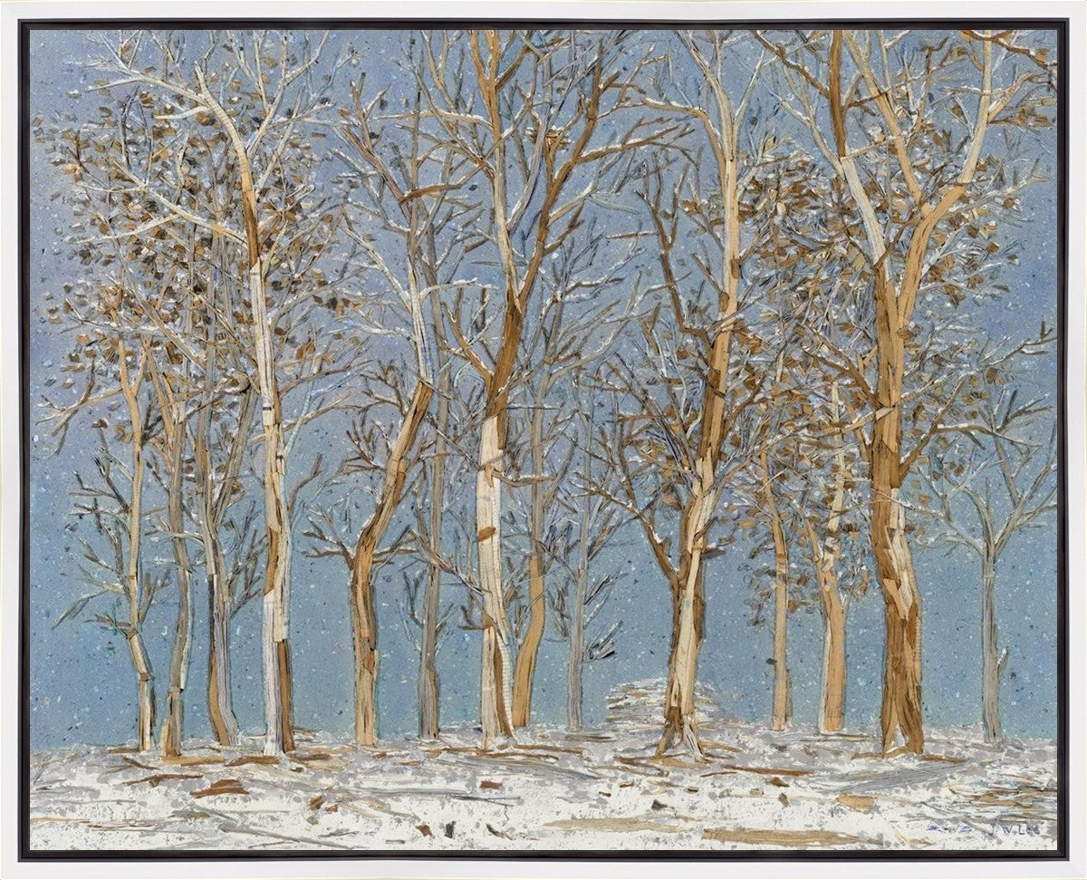 Winter Woods