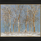 Winter Woods