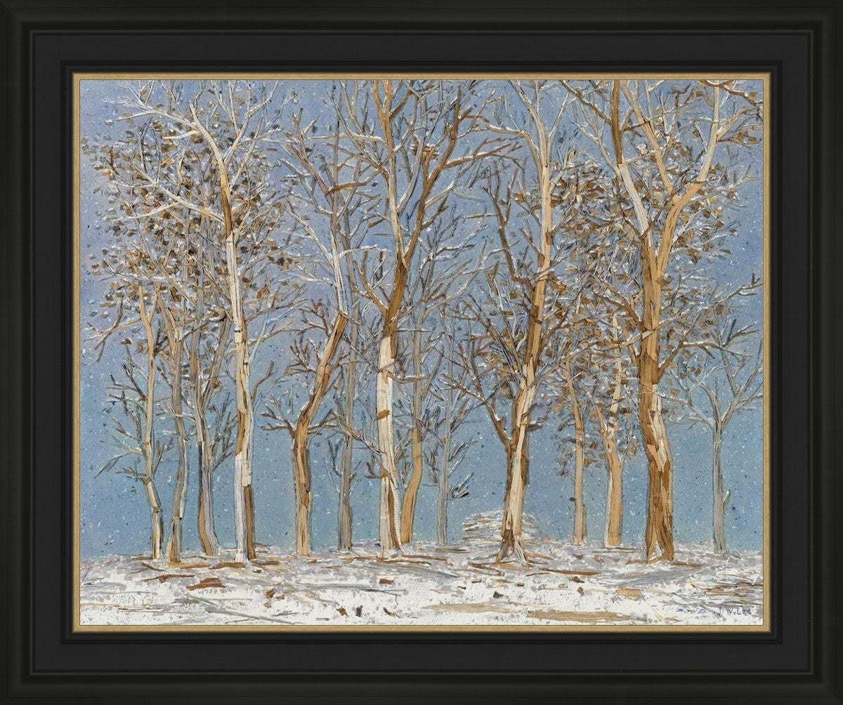 Winter Woods