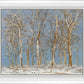 Winter Woods