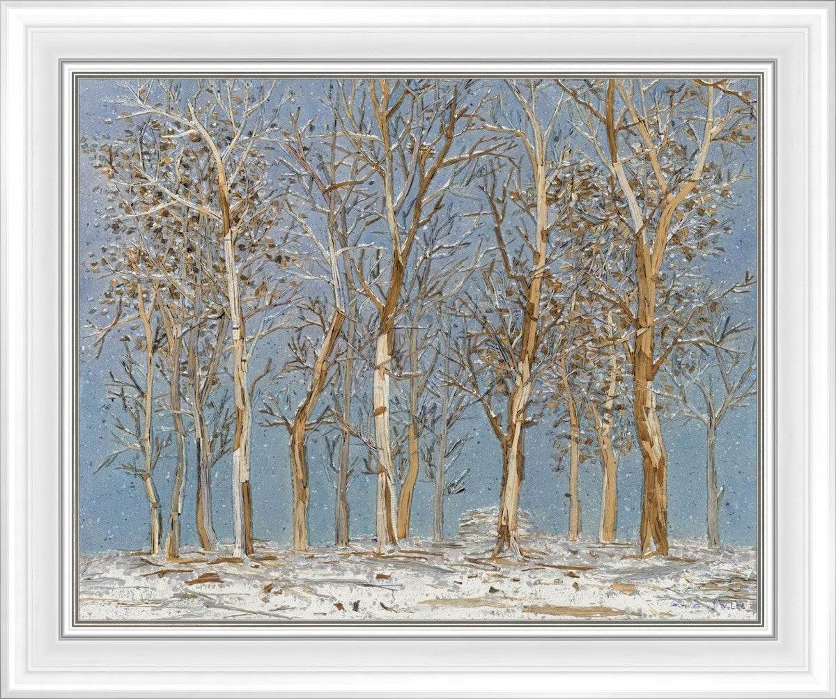 Winter Woods