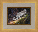 Snow Leopard