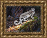 Snow Leopard