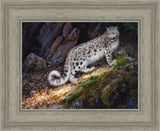 Snow Leopard