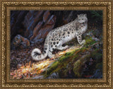 Snow Leopard