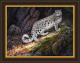 Snow Leopard Large Wall Art