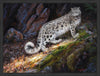 Snow Leopard Large Wall Art