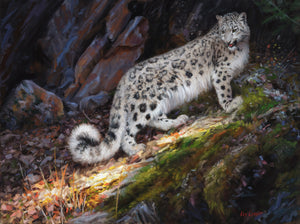 Snow Leopard Large Wall Art