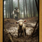 The Good Shepherd is on the Way