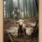 The Good Shepherd is on the Way