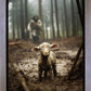 The Good Shepherd is on the Way