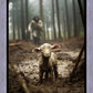 The Good Shepherd is on the Way