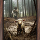 The Good Shepherd is on the Way