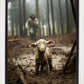 The Good Shepherd is on the Way