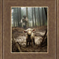 The Good Shepherd is on the Way