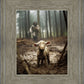 The Good Shepherd is on the Way