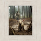The Good Shepherd is on the Way