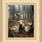 The Good Shepherd is on the Way