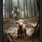 The Good Shepherd is on the Way