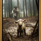 The Good Shepherd is on the Way