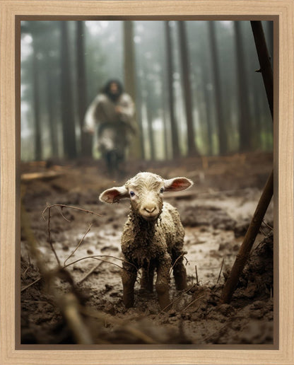 The Good Shepherd is on the Way