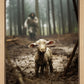 The Good Shepherd is on the Way