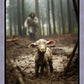 The Good Shepherd is on the Way