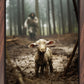 The Good Shepherd is on the Way