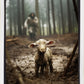 The Good Shepherd is on the Way