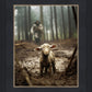 The Good Shepherd is on the Way