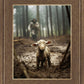 The Good Shepherd is on the Way