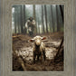 The Good Shepherd is on the Way