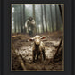The Good Shepherd is on the Way
