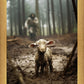The Good Shepherd is on the Way