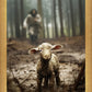 The Good Shepherd is on the Way