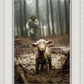The Good Shepherd is on the Way