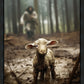 The Good Shepherd is on the Way