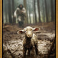 The Good Shepherd is on the Way