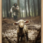 The Good Shepherd is on the Way