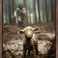 The Good Shepherd is on the Way