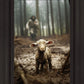 The Good Shepherd is on the Way