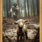The Good Shepherd is on the Way