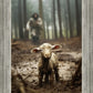 The Good Shepherd is on the Way