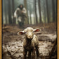 The Good Shepherd is on the Way