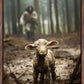 The Good Shepherd is on the Way