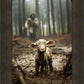 The Good Shepherd is on the Way