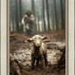 The Good Shepherd is on the Way