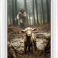 The Good Shepherd is on the Way
